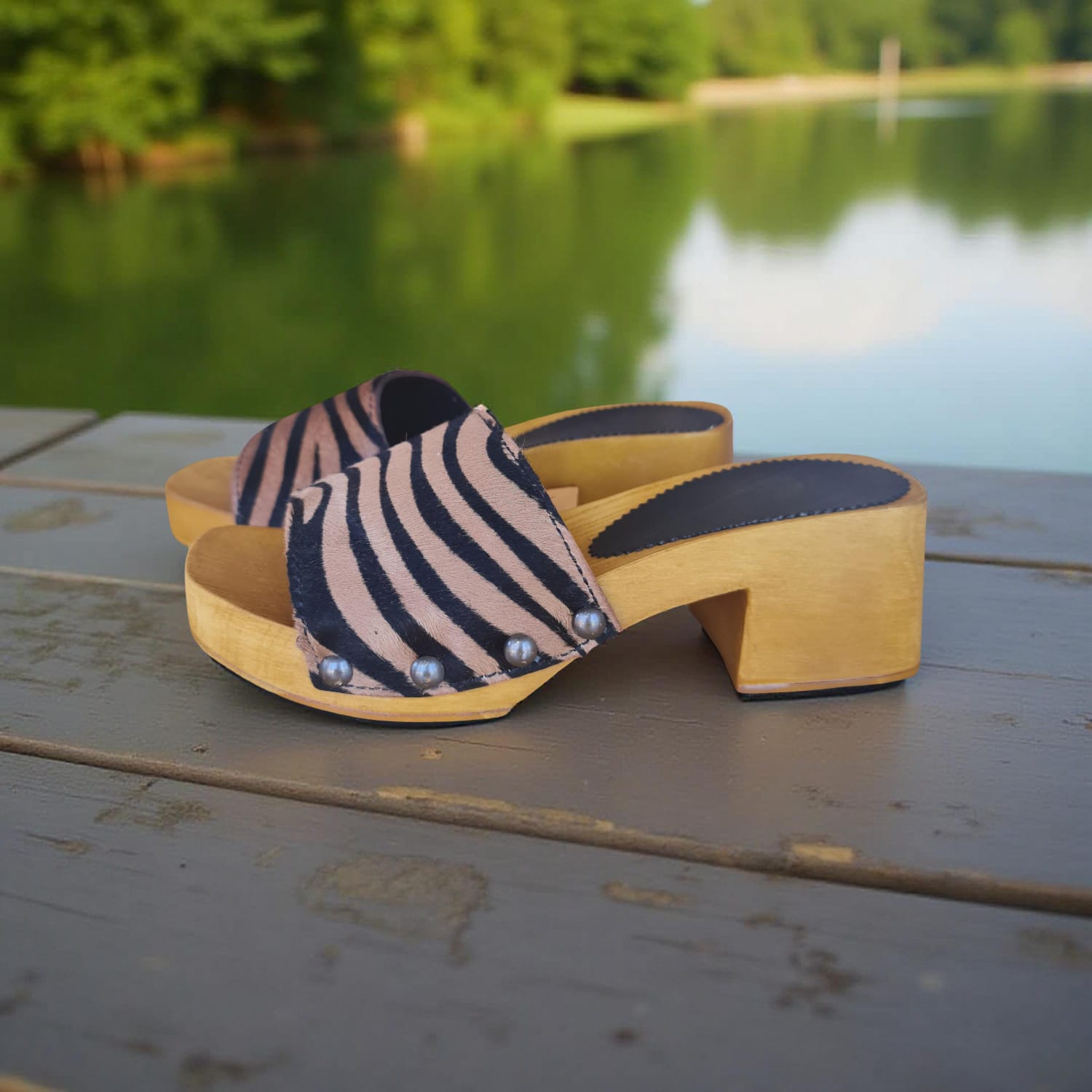 ביאנקה נמר2