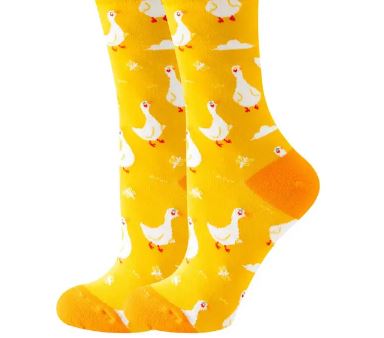 גרב ברווזים