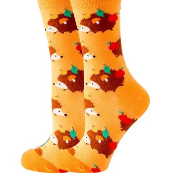 גרביים קיפודים