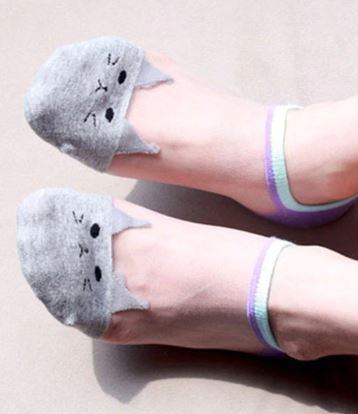 חתולים אפור