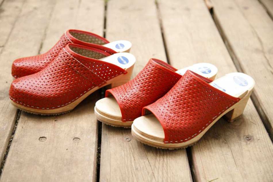 קבקבי רונה רשת אדומה