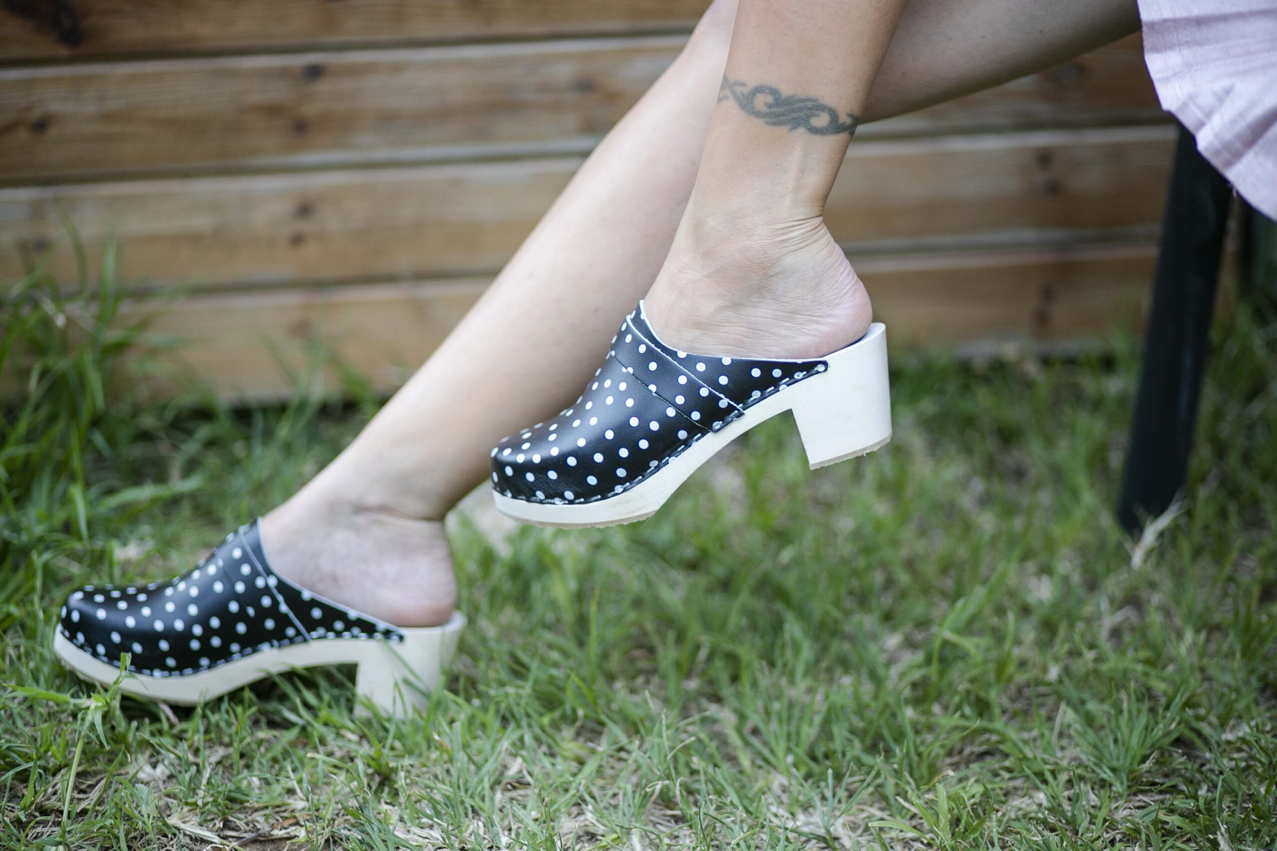 קבקב שחור נקודות