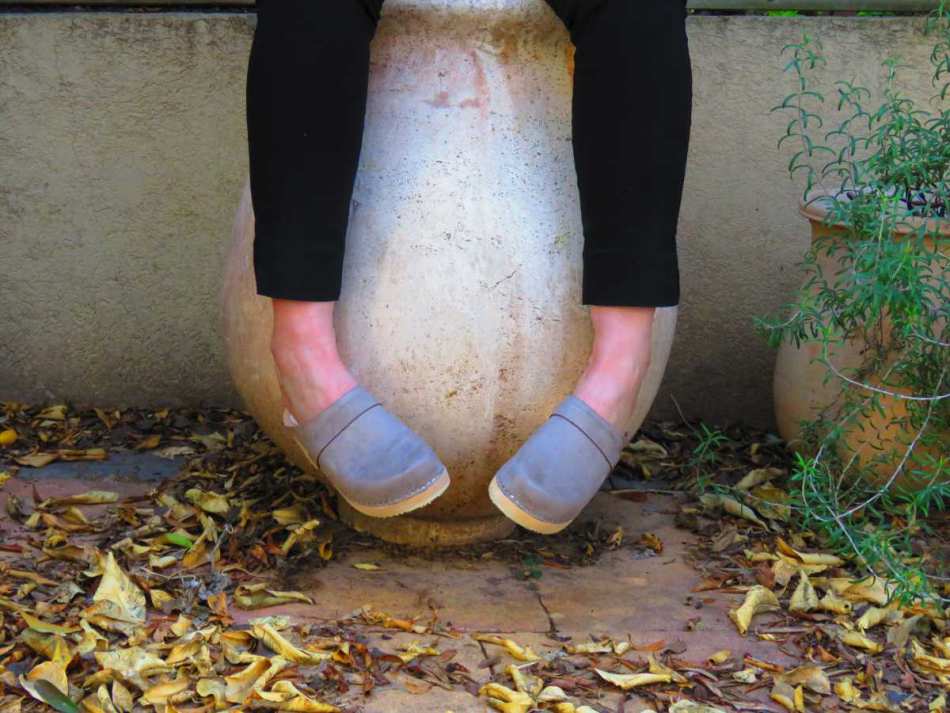 קבקבי עץ אפורים