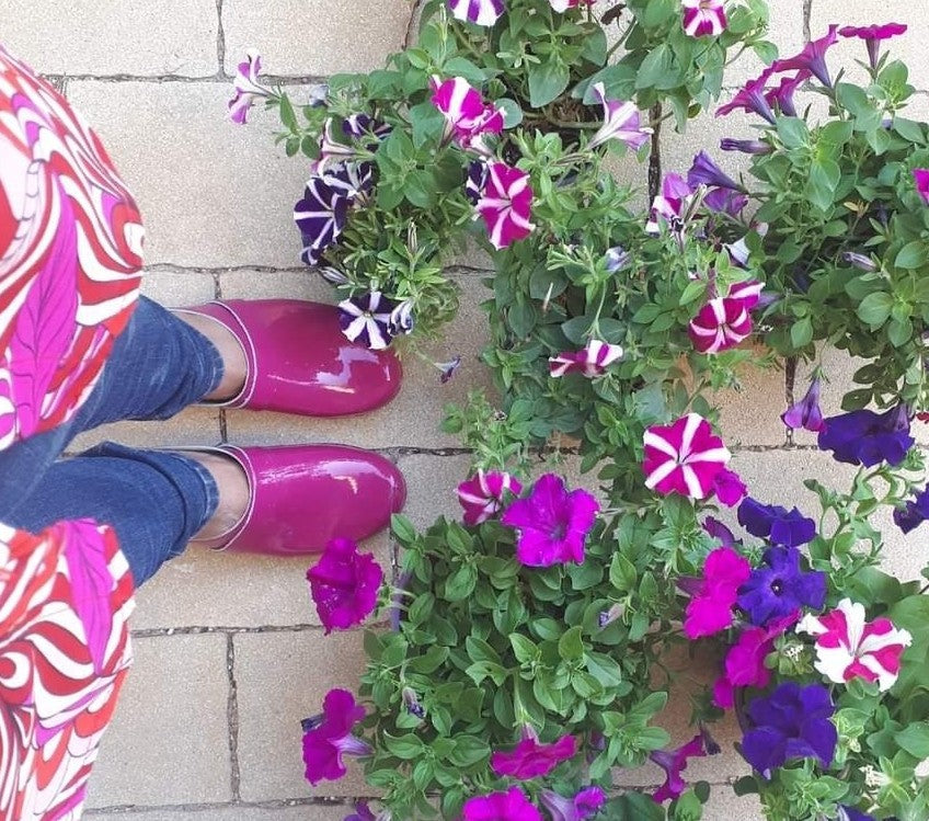 קבקבי עץ ורוד פוקסיה לק