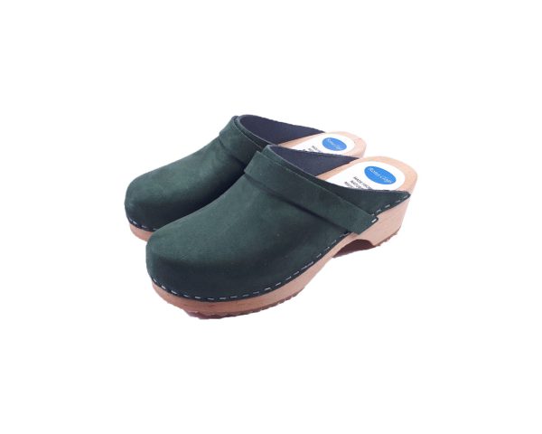 קבקבי עץ ירוק יער